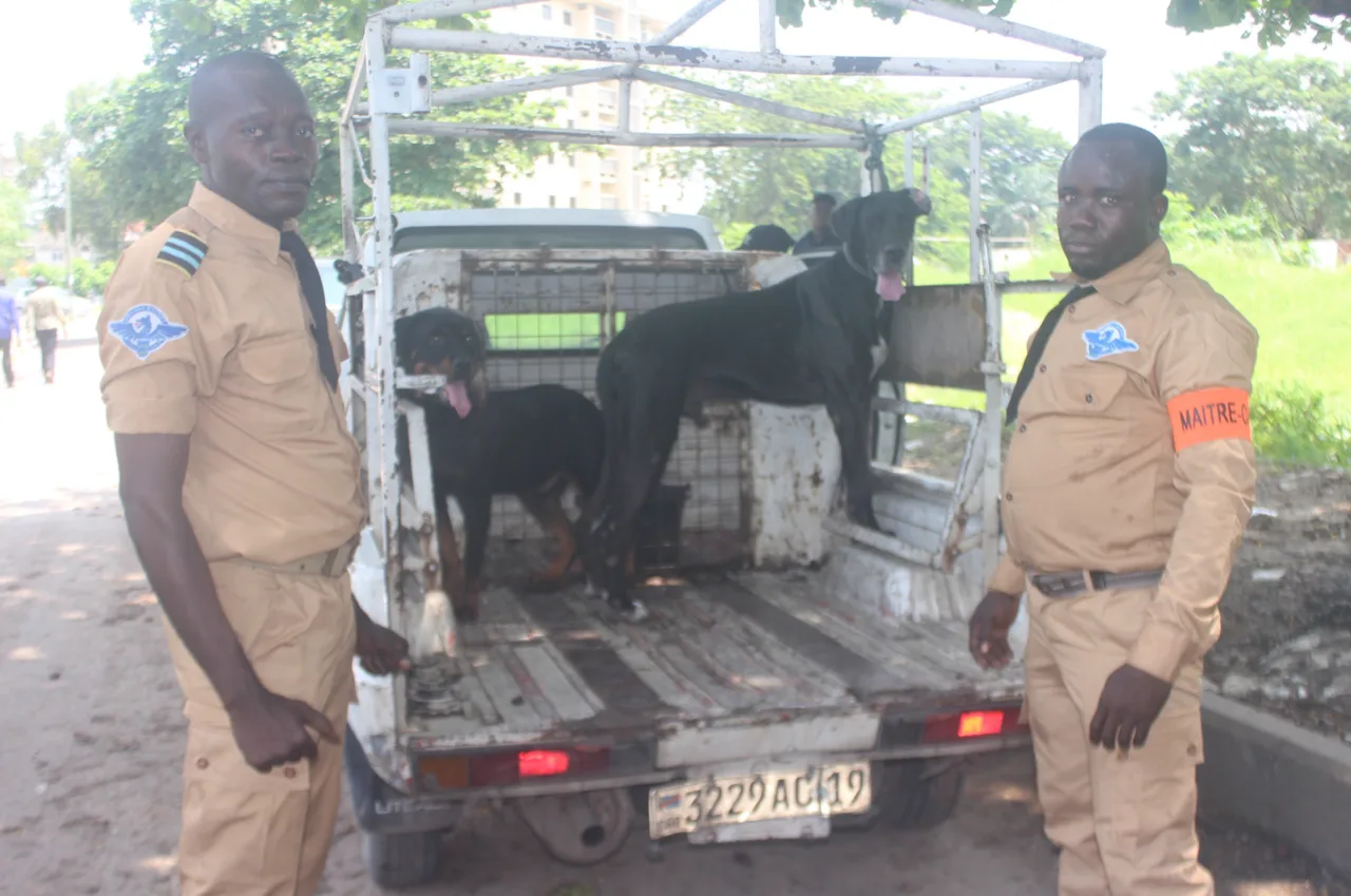 Maîtres-chiens Universal Security et leurs chiens de garde